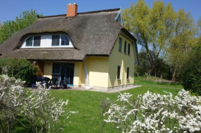 Reetdachhaus Weißdorn 1 in Poseritz